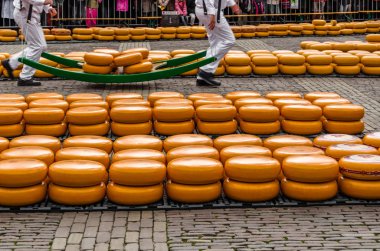 Geleneksel Hollanda peynir pazarı Alkmaar, Hollanda