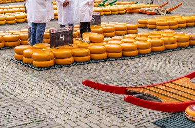 Geleneksel Hollanda peynir pazarı Alkmaar, Hollanda