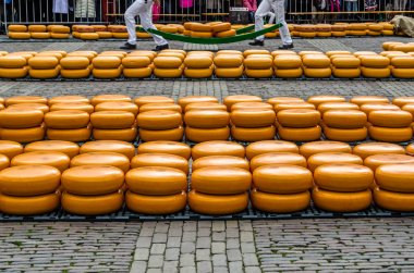 Geleneksel Hollanda peynir pazarı Alkmaar, Hollanda