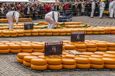 Geleneksel Hollanda peynir pazarı Alkmaar, Hollanda