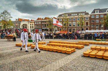 Geleneksel Hollanda peynir pazarı Alkmaar, Hollanda