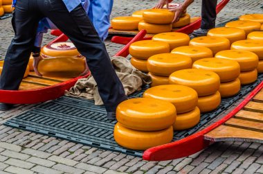 Geleneksel Hollanda peynir pazarı Alkmaar, Hollanda