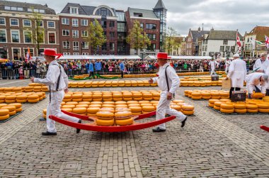 Geleneksel Hollanda peynir pazarı Alkmaar, Hollanda