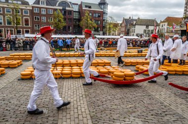Geleneksel Hollanda peynir pazarı Alkmaar, Hollanda