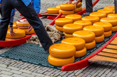 Geleneksel Hollanda peynir pazarı Alkmaar, Hollanda