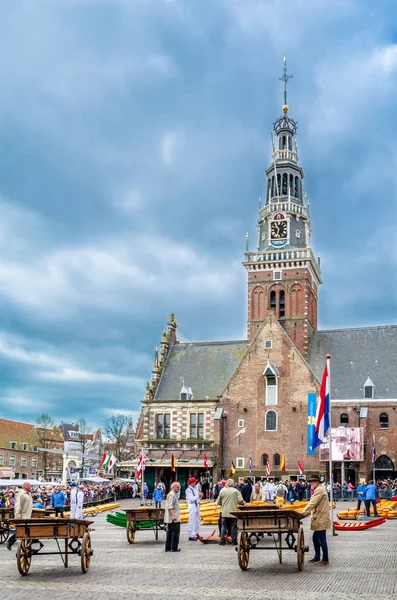 Tradycyjny ser holenderski rynek w Alkmaar, Holandia — Zdjęcie stockowe