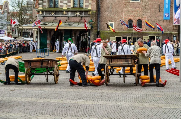 Geleneksel Hollanda peynir pazarı Alkmaar, Hollanda