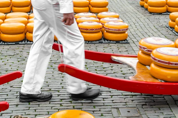 Mercado tradicional de queijo holandês em Alkmaar, Países Baixos — Fotografia de Stock