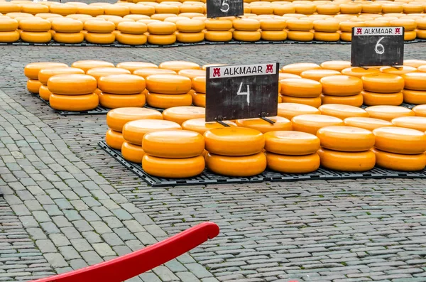 Geleneksel Hollanda peynir pazarı Alkmaar, Hollanda