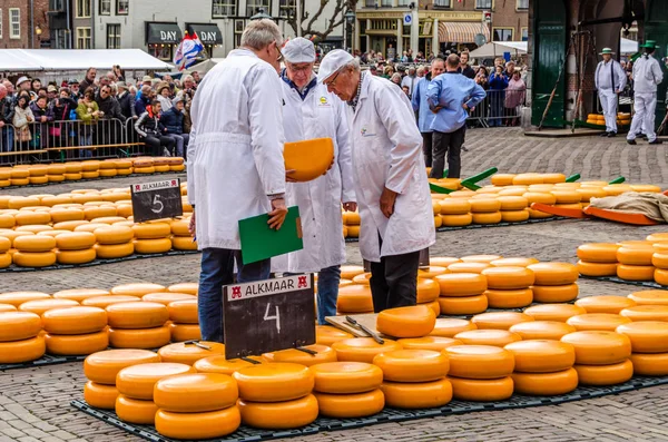 Geleneksel Hollanda peynir pazarı Alkmaar, Hollanda