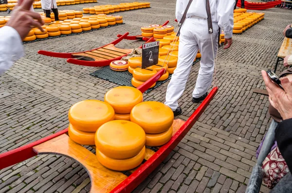 Mercado tradicional de queijo holandês em Alkmaar, Países Baixos — Fotografia de Stock