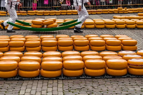 Geleneksel Hollanda peynir pazarı Alkmaar, Hollanda