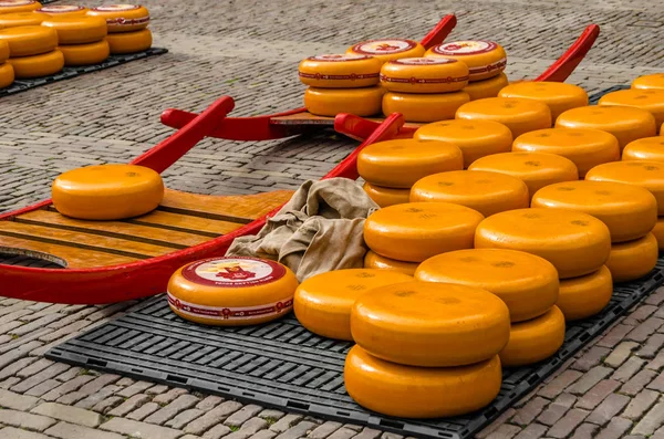 Geleneksel Hollanda peynir pazarı Alkmaar, Hollanda