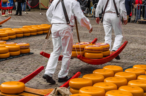 Традиционный голландский сырный рынок в Алкмаре, Нидерланды
