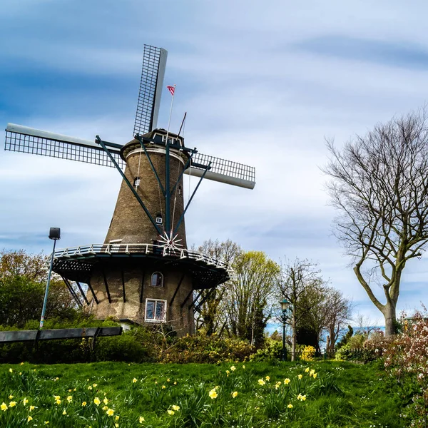 Molino de viento holandés en Alkmaar, Países Bajos —  Fotos de Stock