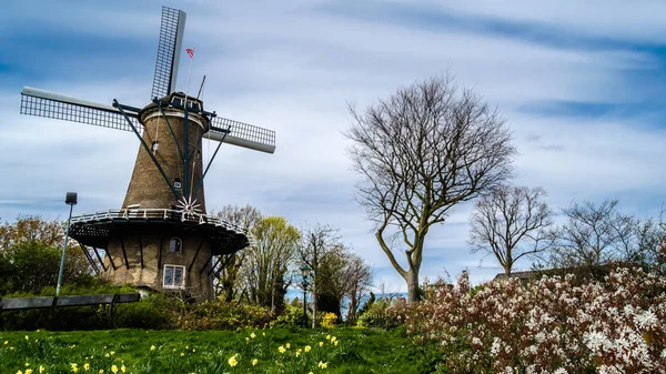Molino de viento holandés en Alkmaar, Países Bajos —  Fotos de Stock