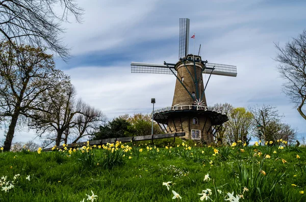 Molino de viento holandés en Alkmaar, Países Bajos —  Fotos de Stock