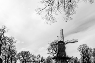 Alkmaar, siyah beyaz manzara tipik Hollanda Yeldeğirmeni