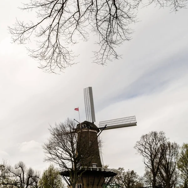 Molino de viento holandés en Alkmaar, Países Bajos —  Fotos de Stock