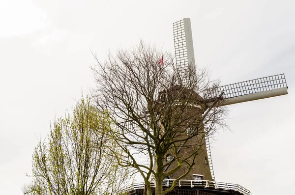 Nederlandse windmolen in Alkmaar, Nederland — Stockfoto