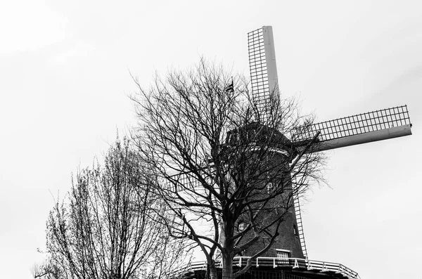 Typowy holenderski wiatrak w Alkmaar, czarno-biały krajobraz — Zdjęcie stockowe