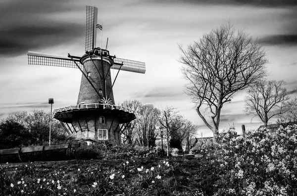 Typisch Nederlandse windmolen in Alkmaar, zwarte en witte landschap — Stockfoto