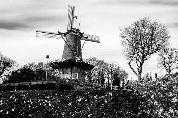 Moinho de vento holandês típico em Alkmaar, paisagem em preto e branco — Fotografia de Stock