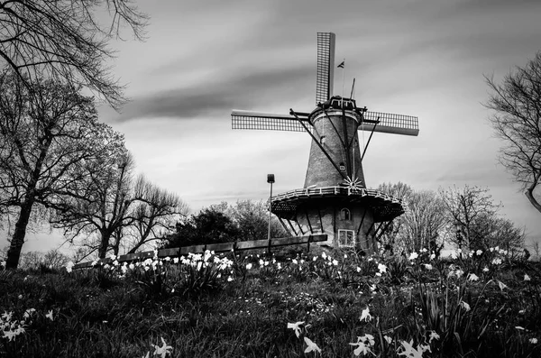 Moinho de vento holandês típico em Alkmaar, paisagem em preto e branco — Fotografia de Stock