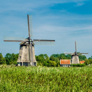 Geleneksel Hollanda yel değirmeni