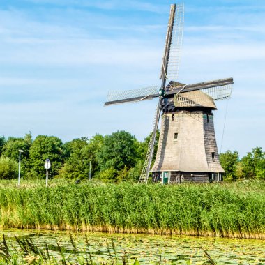 Geleneksel Hollanda yel değirmeni