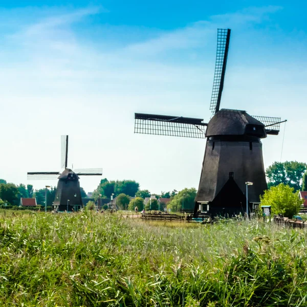 Geleneksel Hollanda yel değirmeni — Stok fotoğraf