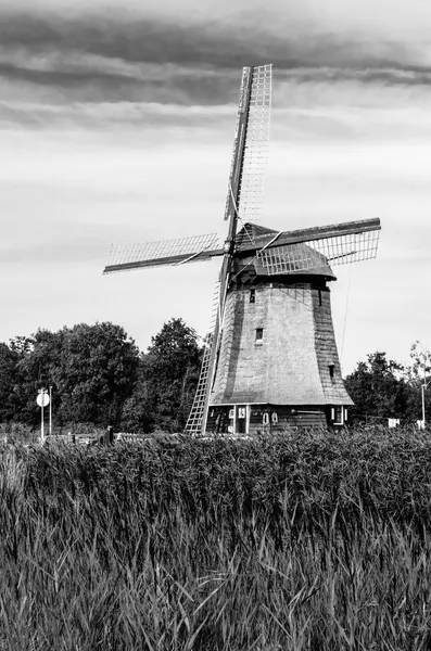 Чёрно-белая голландская мельница — стоковое фото