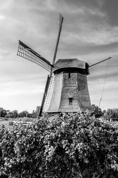 Moulin à vent néerlandais noir et blanc — Photo