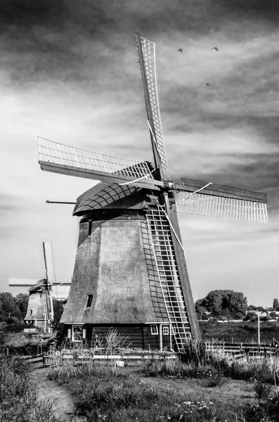 Siyah ve beyaz Hollanda Yeldeğirmeni — Stok fotoğraf