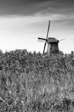 Siyah ve beyaz Hollandalı peyzaj