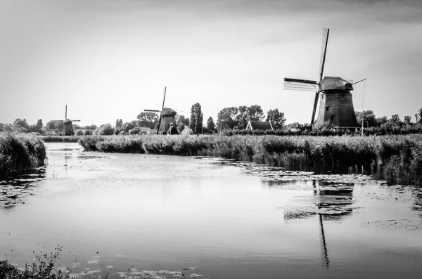 Paysage néerlandais noir et blanc — Photo