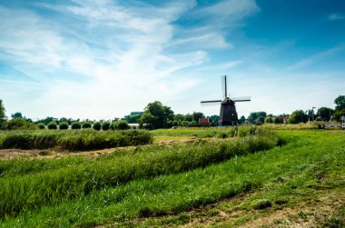 tipik Hollanda manzara