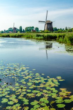 tipik Hollanda manzara