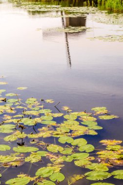 tipik Hollanda manzara