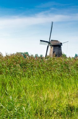tipik Hollanda manzara