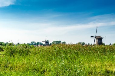 tipik Hollanda manzara