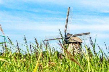 tipik Hollanda manzara