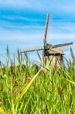 tipik Hollanda manzara