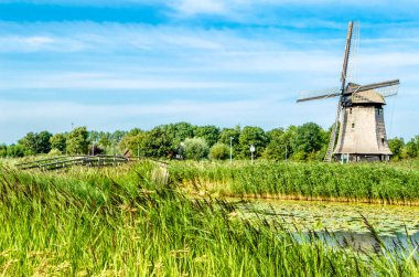 tipik Hollanda manzara