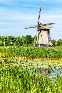 tipik Hollanda manzara
