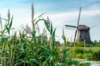 tipik Hollanda manzara