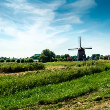 tipik Hollanda manzara