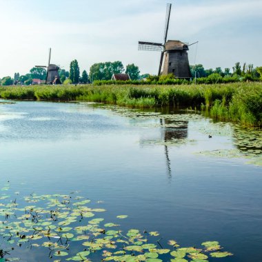 tipik Hollanda manzara