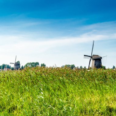 tipik Hollanda manzara