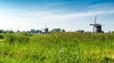 tipik Hollanda manzara